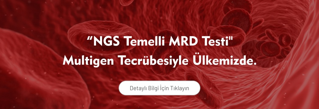 NGS Temelli MRD Testi